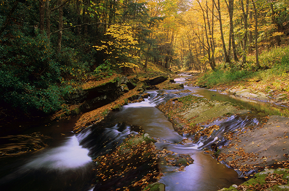 River - West Virginia